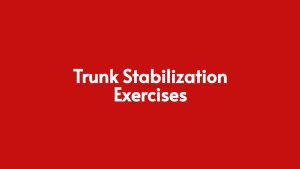 Read more about the article Trunk Stabilization Exercises [Core stability]