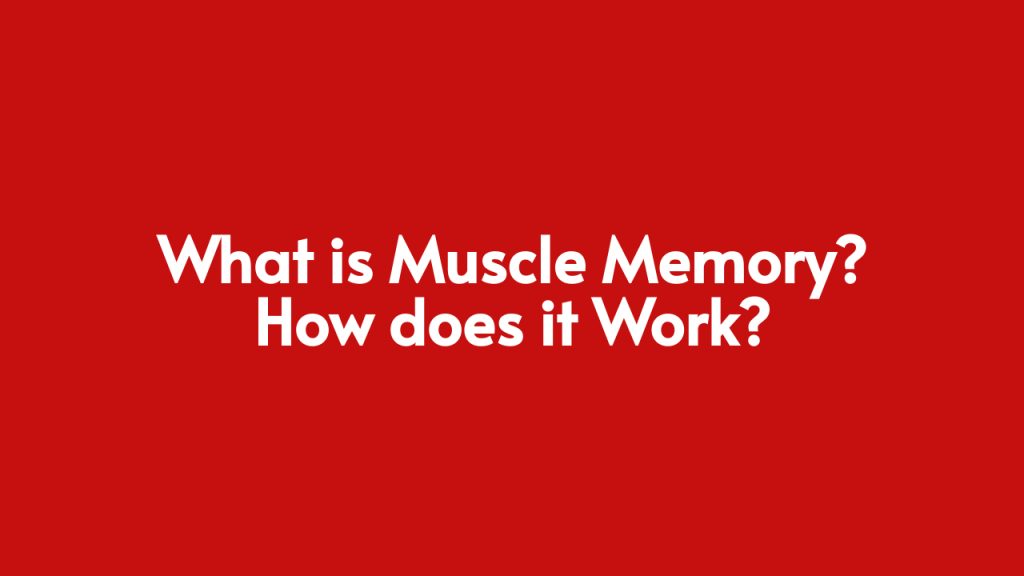 what-is-muscle-memory-how-does-it-work-abformer-products