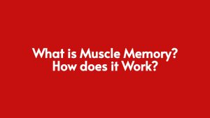 Read more about the article What is Muscle Memory? How does it Work?