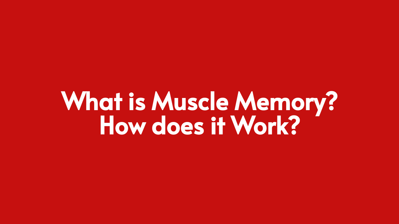 Read more about the article What is Muscle Memory? How does it Work?